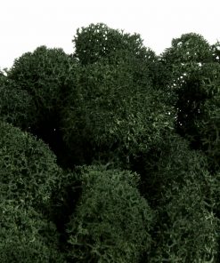 Ak si vyberieš fínsky lišajník v tmavozelenej farbe, získaš kvalitný prírodný materiál, ktorý vydrží roky bez akejkoľvek starostlivosti. Každým projektom tak do interiéru prinesieš kúsok prírody, ktorý nikdy nestratí svoju sviežosť, a zároveň vytvoríš priestor plný harmónie, pokoja a nadčasovej krásy.