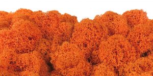 Keď si vyberieš fínsky lišajník, získaš nielen kvalitný prírodný materiál, ale aj možnosť vytvoriť dielo, ktoré vydrží roky bez akejkoľvek starostlivosti. Navyše každým projektom prinesieš do interiéru jedinečný kúsok prírody, ktorý nikdy nestratí svoju sviežosť.