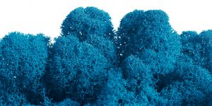 Keď si vyberieš fínsky lišajník v bledomodrom odtieni, získaš materiál, ktorý ti umožní vytvoriť dekoráciu s dlhou životnosťou, bez starostí a s prirodzeným dotykom prírody. Takto sa obklopíš energiou, ktorá nikdy nestratí svoju sviežosť a dodá priestoru nadčasový charakter.