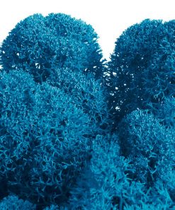 Keď si vyberieš fínsky lišajník v bledomodrom odtieni, získaš materiál, ktorý ti umožní vytvoriť dekoráciu s dlhou životnosťou, bez starostí a s prirodzeným dotykom prírody. Takto sa obklopíš energiou, ktorá nikdy nestratí svoju sviežosť a dodá priestoru nadčasový charakter.