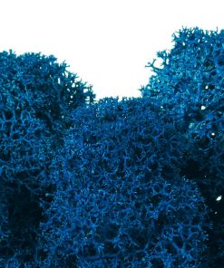 Keď si vyberieš fínsky lišajník, získaš nielen kvalitný prírodný materiál, ale aj možnosť vytvoriť dielo, ktoré vydrží roky bez akejkoľvek starostlivosti. Navyše každým projektom prinesieš do interiéru jedinečný kúsok prírody, ktorý nikdy nestratí svoju sviežosť.