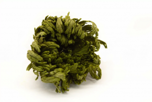 Stabilizovaná Japonská hviezdica