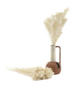 Stabilizované kvety Broom - Biele