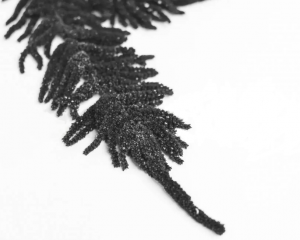 Stabilizovaný amarant - čierny