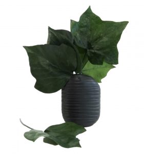 Stabilizovaný brečtan - zelený list