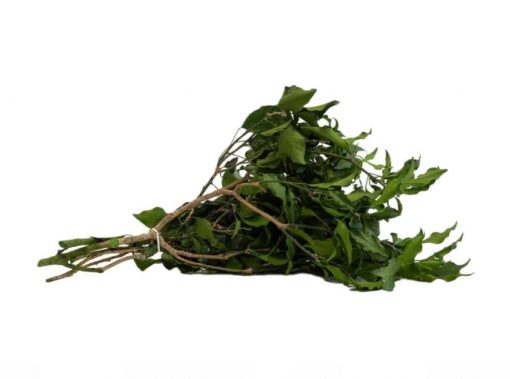 Stabilizovaný brečtan - tmavo zelený