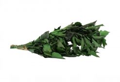 Stabilizovaný brečtan - mix zelený