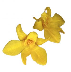 Stabilizované kvety Orchidea Dendrobium - žlté