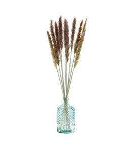 Sušené kvety Pampas - natural fialová