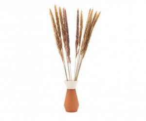 Sušené kvety Pampas - natural