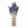 Stabilizované kvety Gypsophila - purple