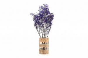 Stabilizované kvety Gypsophila - purple