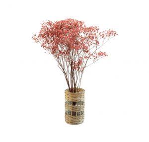 Stabilizované kvety Gypsophila - ružová