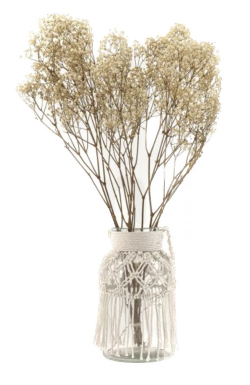 Stabilizované kvety Gypsophila - prírodná