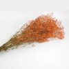 Stabilizované kvety Gypsophila - oranžová