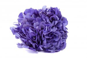 Stabilizované kvety Hortenzia - fialová