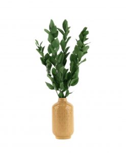 Stabilizované rastliny ruscus - zelená
