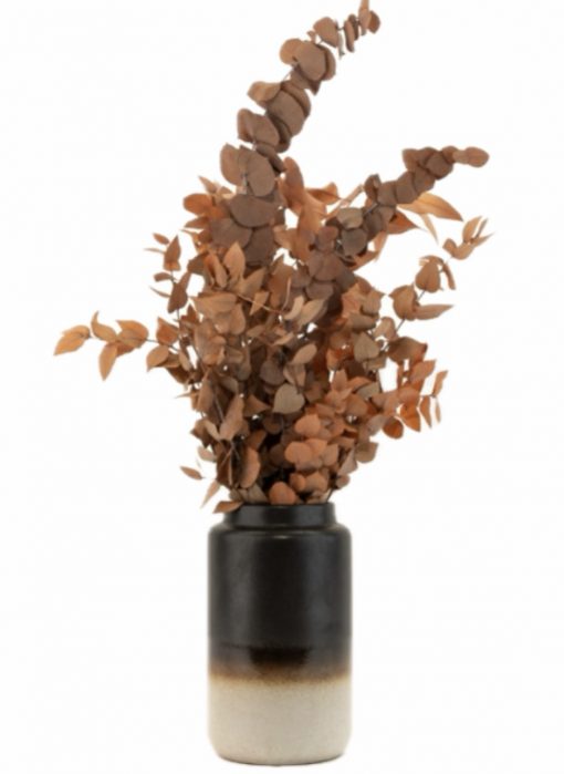 Stabilizovaný eukalyptus Stuartiana - oranžový
