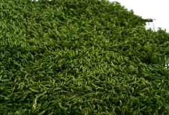 Keď si vyberieš plochý mach LONG – zelený, získaš nielen kvalitný prírodný materiál, ale aj možnosť vytvoriť dekoráciu, ktorá vydrží roky bez akejkoľvek starostlivosti. Navyše každý projekt prinesie do interiéru unikátny kúsok prírody, ktorý nikdy nestratí svoju sviežosť a harmóniu.