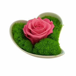 Stabilizovaná dekorácia - LOVE ružová