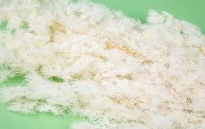 Stabilizovaná papraď ming  - biela