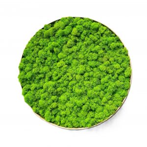 Machový obraz Kruh Lišš prináša do interiéru nielen estetický zážitok, ale aj pocit spojenia s prírodou, ktorý zostáva svieži, prirodzený a nadčasový.