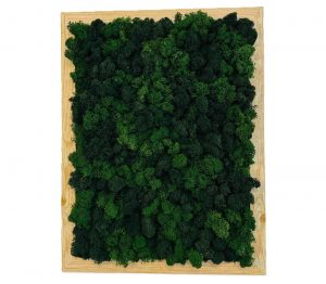 Machový obraz – obdĺžnik tmavý ti prináša estetický zážitok, ale aj trvalé spojenie s prírodou, ktoré zostáva svieže, pokojné a inšpirujúce každý jeden deň.