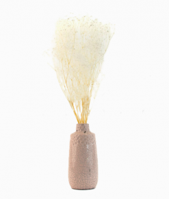 Stabilizované kvety Gypsophila - biela
