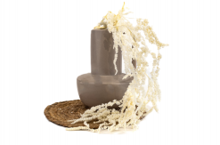 Stabilizovaný amarant - biely