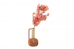 Sušené kvety Bougainvillea Branch - ružová