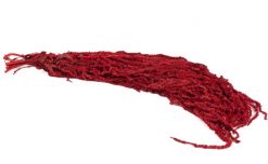 Stabilizovaný amarant - červený