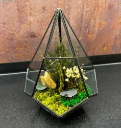 Terárium zo stabilizovaného machu a rastlín – Pyramid ti prináša viac než len dizajnovú dekoráciu, vytvára pokojný zelený akcent, ktorý oživí interiér.