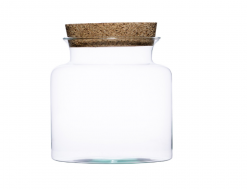 Naše sklenené terárium Cube DIY spája estetiku, kreativitu a prírodný pôvab. Vďaka nemu premeníte obyčajný priestor na miesto, ktoré dýcha pokojom a prírodnou krásou – presne tak, ako to dokáže len kúsok živej prírody vo vašom domove.