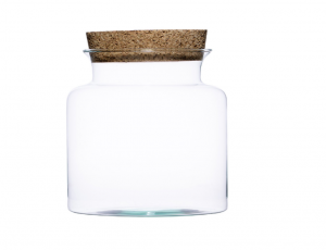 Naše sklenené terárium Cube DIY spája estetiku, kreativitu a prírodný pôvab. Vďaka nemu premeníte obyčajný priestor na miesto, ktoré dýcha pokojom a prírodnou krásou – presne tak, ako to dokáže len kúsok živej prírody vo vašom domove.