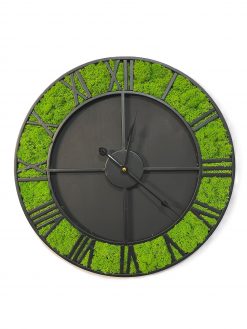 Machové hodiny 47cm