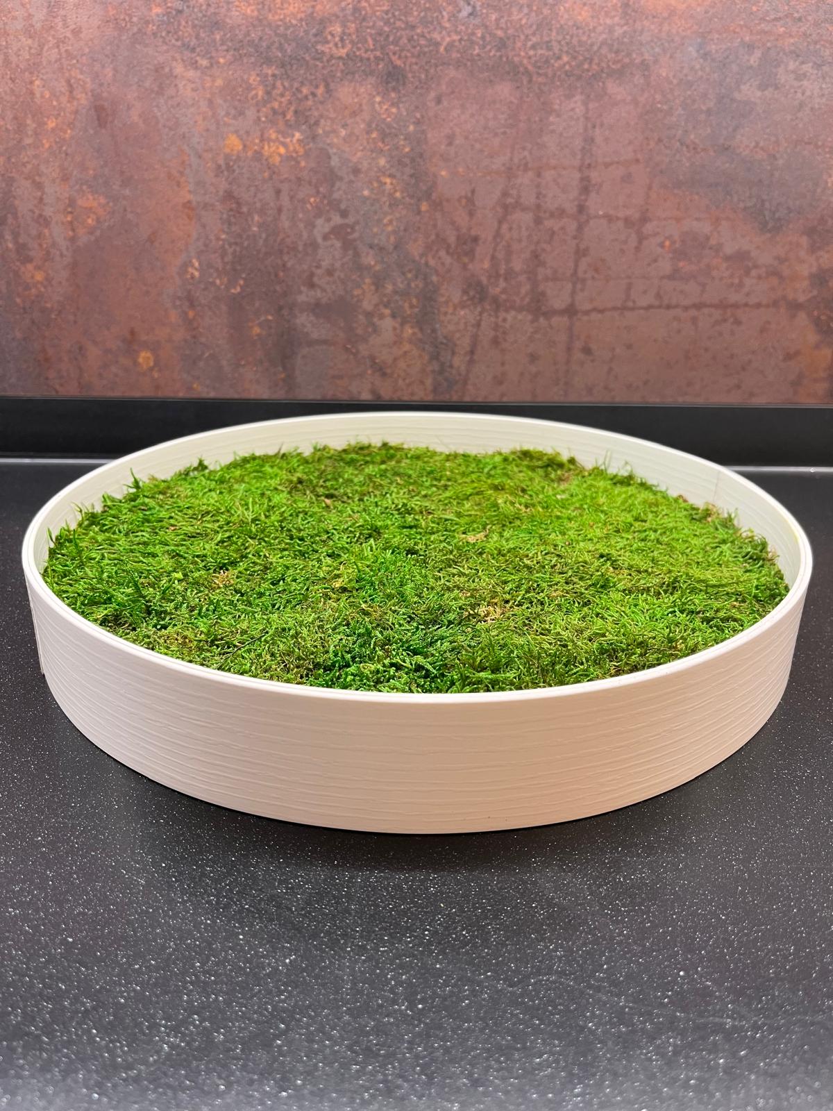 Machový obraz - Kruh s plochým machom ti prináša spojenie s prírodou, ktoré pôsobí pokojne, sviežo a harmonicky každý deň.