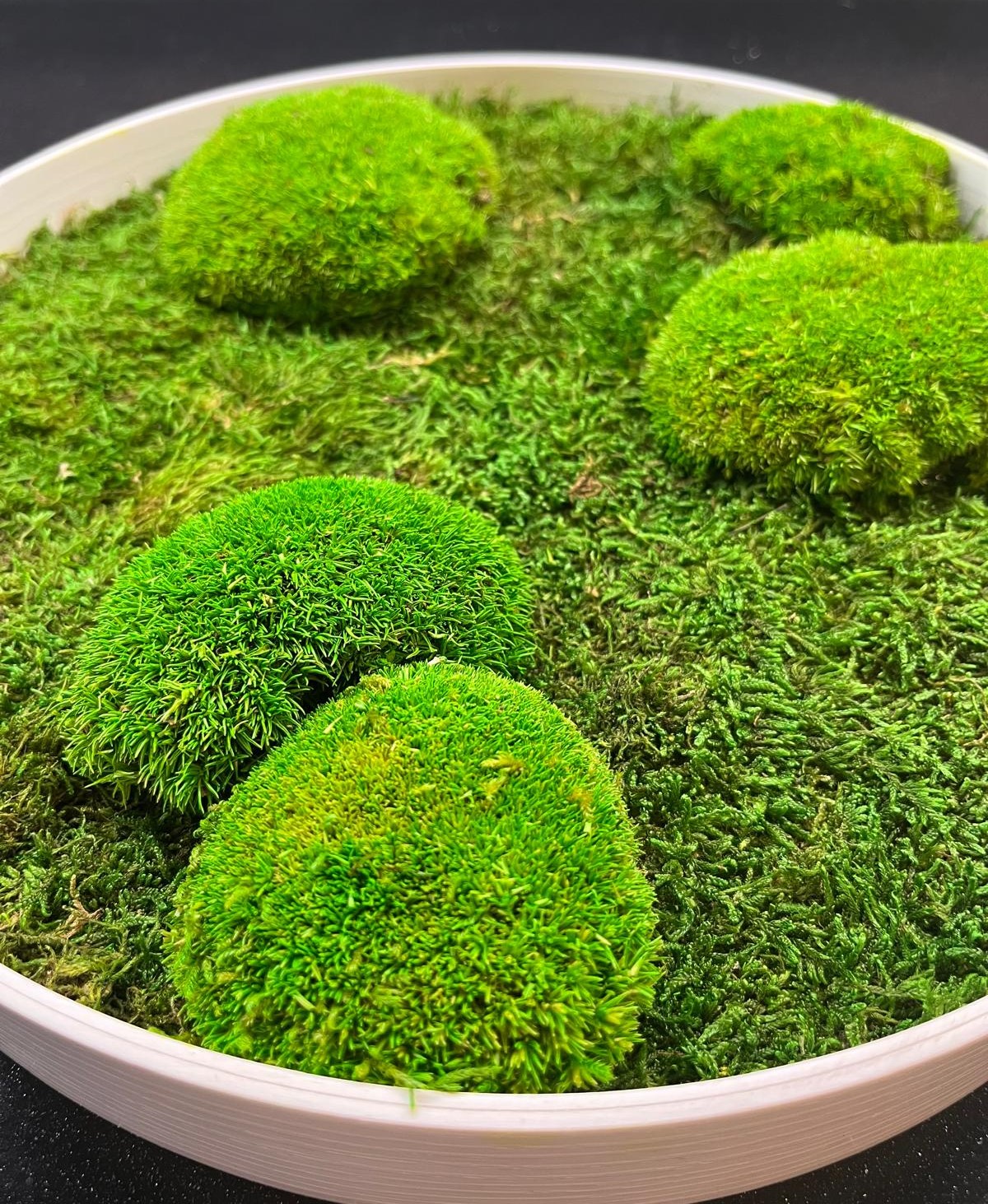 Machový obraz - kruh s plochým a kopčekovým machom ti prináša prirodzenú energiu a dotyk prírody, ktorý v interiéri pôsobí príjemne, pokojne a harmonicky.