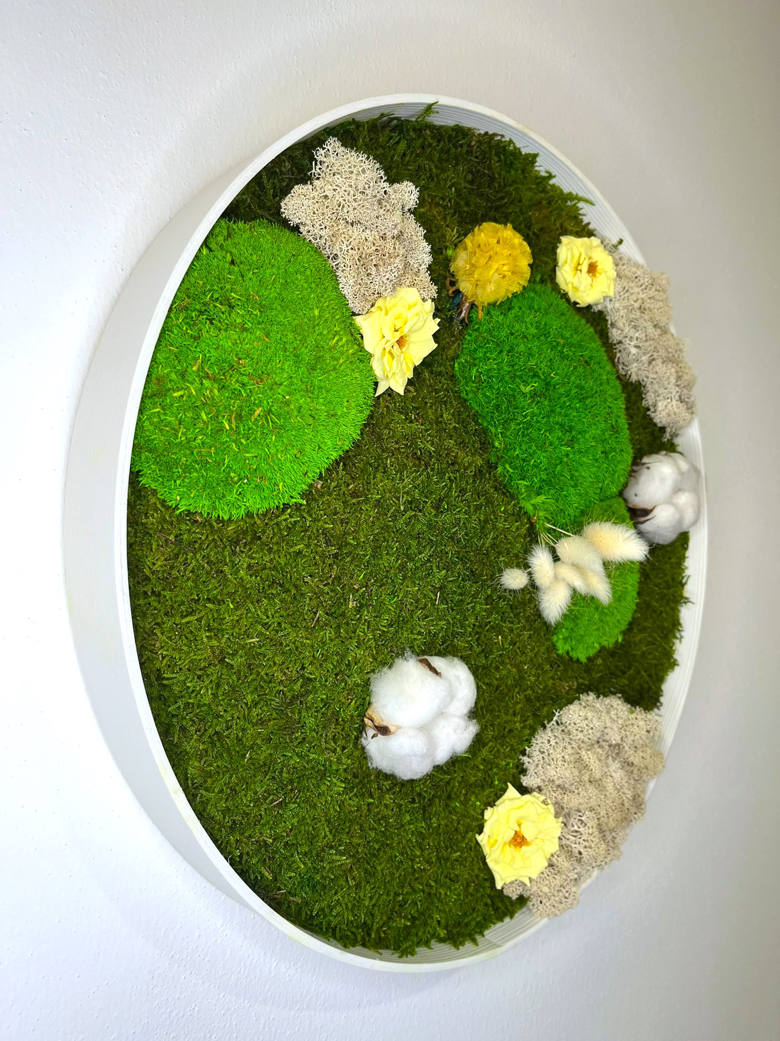 Machový obraz Kruh paradise so stabilizovaným machom, rastlinami a kvetmi ti prináša nielen silný estetický zážitok, ale aj pocit prírodnej harmónie.