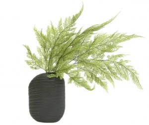 Stabilizovaná papraď - Tabalia zelená