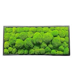 Machový obraz Kopčekový mach prináša do priestoru nielen vizuálnu krásu, ale aj pokoj, prírodnú harmóniu a výnimočnú atmosféru, ktorá nikdy nevybledne.