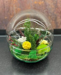 Terárium zo stabilizovaného machu a rastlín - Ball