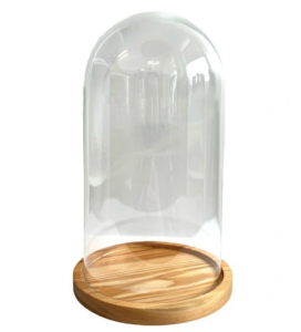 Naše sklenené terárium Kupola DIY spája estetiku, kreativitu a dotyk prírody. Pomáha premeniť obyčajný priestor na miesto plné pokoja, rovnováhy a krásy.