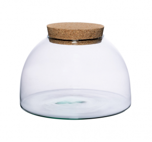 Naše sklenené terárium Licob DIY spája estetiku, kreativitu a dotyk prírody. Vďaka nemu premeníte bežný priestor na pokojné a elegantné miesto, ktoré dýcha prirodzenou krásou – presne tak, ako to dokáže len ručne vytvorený kúsok s dušou.