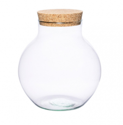 Sklenené terárium - vase DIY
