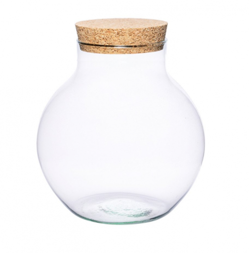 Sklenené terárium - vase DIY