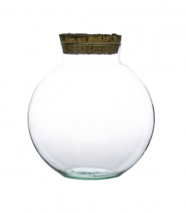 Naše sklenené terárium Vaseball spája estetiku, remeselnú poctivosť a lásku k prírode. Vďaka nemu jednoducho vytvoríte jedinečný dar alebo dekoráciu.