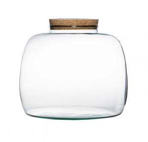 Naše sklenené terárium jar prináša spojenie prírody, dizajnu a remeselnej poctivosti. Je vhodné na DIY projekty. Môžete ho použiť ako doplnok na stôl, ...