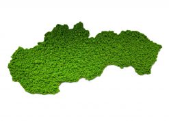 Machový obraz – mapa Slovenska prináša do priestoru nielen vizuálnu krásu, ale aj pokoj, prírodnú harmóniu a jedinečnú atmosféru, ktorá nikdy nevybledne.