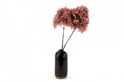 Stabilizovaná hortenzia Peegee - naturálna ružová