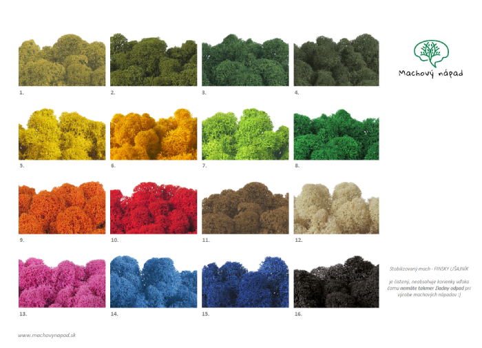 Ukážka machov, z ktorých vyrábame rôzne machové dekorácie